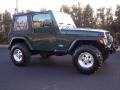 Forest Green - Wrangler SE 4x4 Photo No. 17