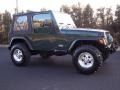 2001 Forest Green Jeep Wrangler SE 4x4  photo #17