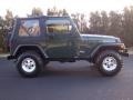 2001 Forest Green Jeep Wrangler SE 4x4  photo #18