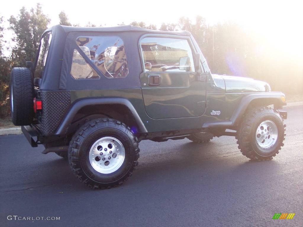 2001 Wrangler SE 4x4 - Forest Green / Agate Black photo #19