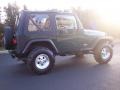 2001 Forest Green Jeep Wrangler SE 4x4  photo #19