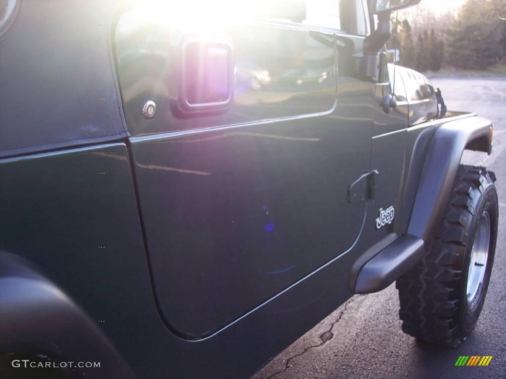 2001 Wrangler SE 4x4 - Forest Green / Agate Black photo #21