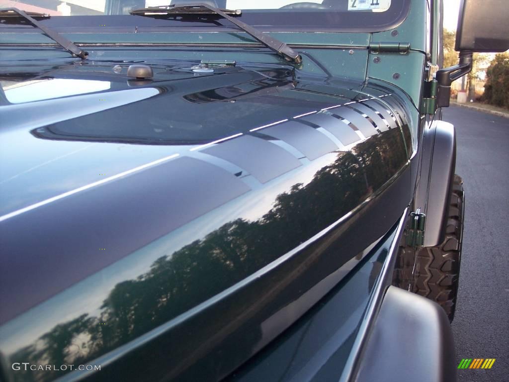 2001 Wrangler SE 4x4 - Forest Green / Agate Black photo #23