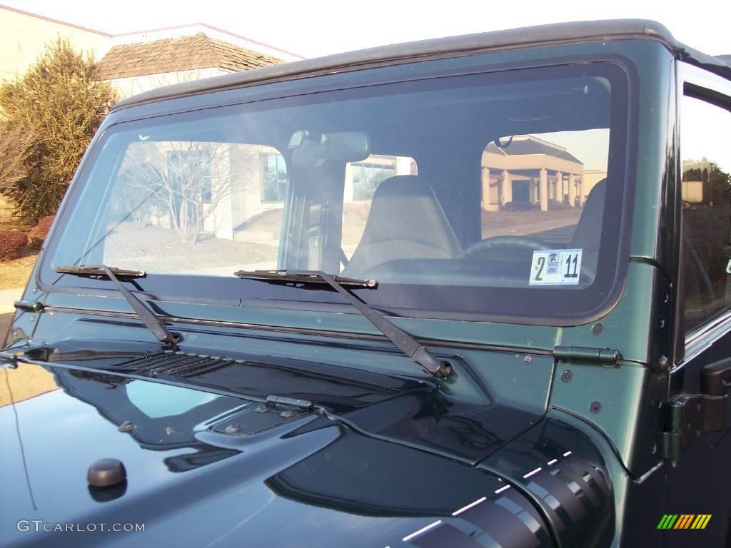 2001 Wrangler SE 4x4 - Forest Green / Agate Black photo #24