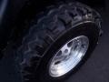 2001 Forest Green Jeep Wrangler SE 4x4  photo #46