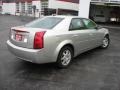 Light Platinum - CTS Sedan Photo No. 21