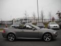 2008 Stratus Grey Metallic BMW 6 Series 650i Convertible  photo #6