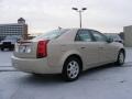 Gold Mist - CTS Sedan Photo No. 5