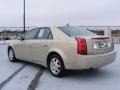 Gold Mist - CTS Sedan Photo No. 7