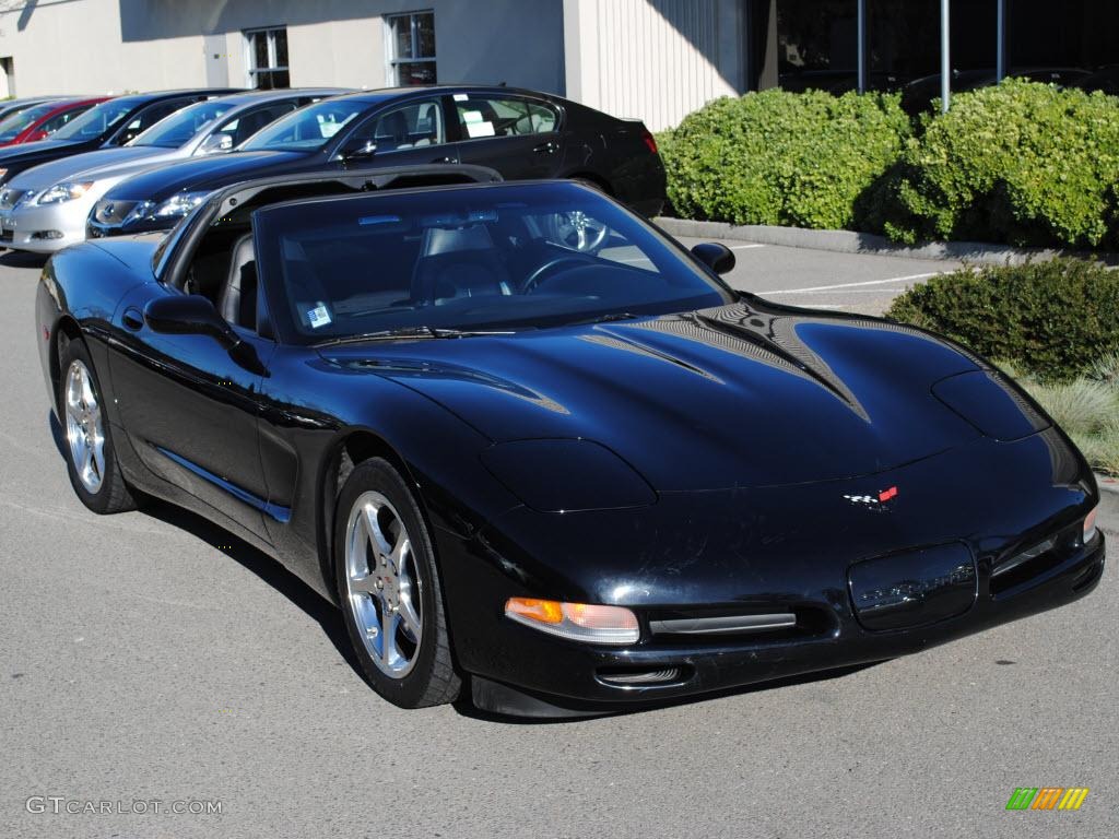 2002 Corvette Coupe - Black / Black photo #13