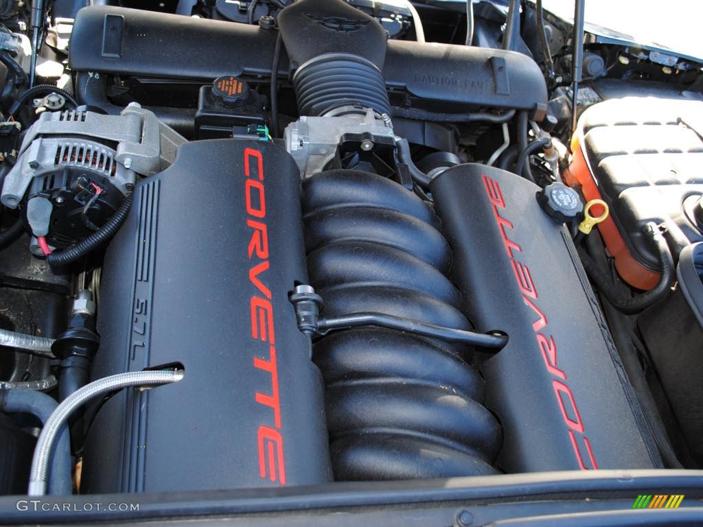 2002 Corvette Coupe - Black / Black photo #18