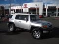 Titanium Metallic - FJ Cruiser 4WD Photo No. 1