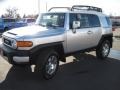 Titanium Metallic - FJ Cruiser 4WD Photo No. 5