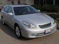 Classic Silver Metallic - ES 330 Photo No. 1