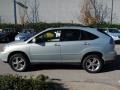 2007 Bamboo Green Pearl Lexus RX 400h AWD Hybrid  photo #9