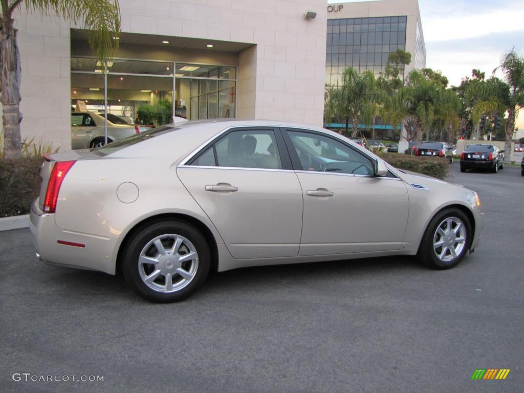 2009 CTS Sedan - Gold Mist / Cashmere/Cocoa photo #10