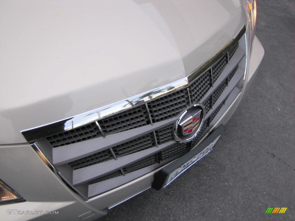 2009 CTS Sedan - Gold Mist / Cashmere/Cocoa photo #12