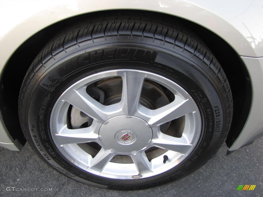 2009 CTS Sedan - Gold Mist / Cashmere/Cocoa photo #13