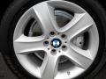 2009 Black Sapphire Metallic BMW X5 xDrive30i  photo #15