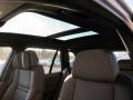 Platinum Bronze Metallic - X5 xDrive30i Photo No. 31