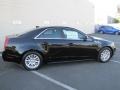 Black Raven - CTS 3.0 Sedan Photo No. 11