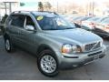 Willow Green Metallic - XC90 3.2 AWD Photo No. 3