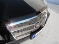 Black Raven - CTS 3.0 Sedan Photo No. 77