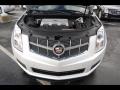 Platinum Ice Tricoat - SRX V6 Photo No. 14