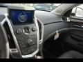 Platinum Ice Tricoat - SRX V6 Photo No. 32