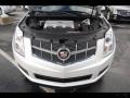 Platinum Ice Tricoat - SRX V6 Photo No. 49