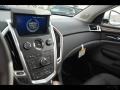 Platinum Ice Tricoat - SRX V6 Photo No. 84
