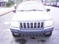 2001 Steel Blue Pearl Jeep Grand Cherokee Limited 4x4  photo #6