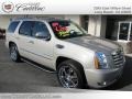 Quicksilver - Escalade AWD Photo No. 1