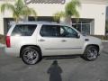 Quicksilver - Escalade AWD Photo No. 11