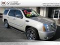 Quicksilver - Escalade AWD Photo No. 33