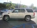 Quicksilver - Escalade AWD Photo No. 66