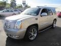 Quicksilver - Escalade AWD Photo No. 77