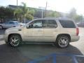 Quicksilver - Escalade AWD Photo No. 79