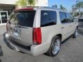 Quicksilver - Escalade AWD Photo No. 83