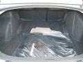 Bright Silver Metallic - Charger SXT Photo No. 24