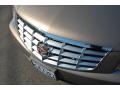 Light Cashmere Metallic - DTS  Photo No. 10