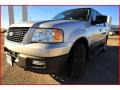 2006 Silver Birch Metallic Ford Expedition XLT 4x4  photo #1