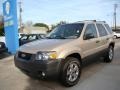 2007 Dune Pearl Metallic Ford Escape XLT  photo #4