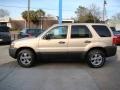 2007 Dune Pearl Metallic Ford Escape XLT  photo #5