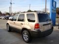 2007 Dune Pearl Metallic Ford Escape XLT  photo #6