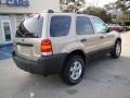 2007 Dune Pearl Metallic Ford Escape XLT  photo #8