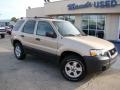 Dune Pearl Metallic - Escape XLT Photo No. 34