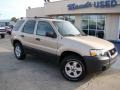 2007 Dune Pearl Metallic Ford Escape XLT  photo #34