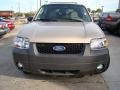 2007 Dune Pearl Metallic Ford Escape XLT  photo #35