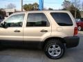 2007 Dune Pearl Metallic Ford Escape XLT  photo #37